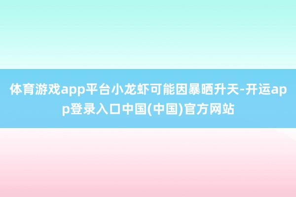 体育游戏app平台小龙虾可能因暴晒升天-开运app登录入口中国(中国)官方网站