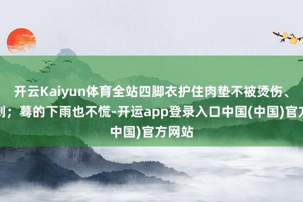 开云Kaiyun体育全站四脚衣护住肉垫不被烫伤、不扎刺；蓦的下雨也不慌-开运app登录入口中国(中国)官方网站