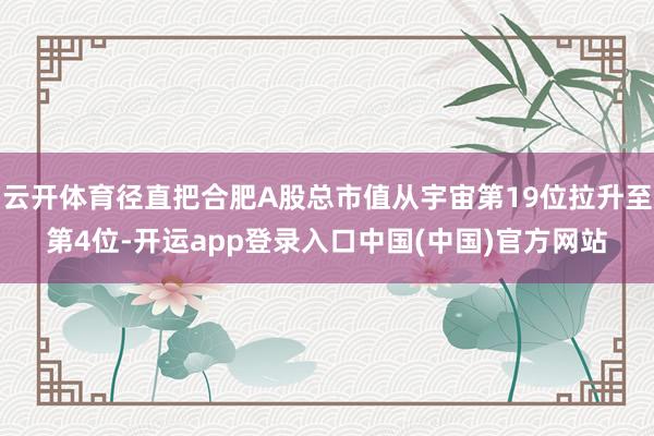 云开体育径直把合肥A股总市值从宇宙第19位拉升至第4位-开运app登录入口中国(中国)官方网站