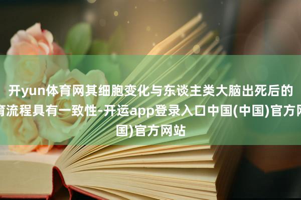 开yun体育网其细胞变化与东谈主类大脑出死后的发育流程具有一致性-开运app登录入口中国(中国)官方网站